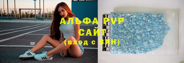индика Бугульма