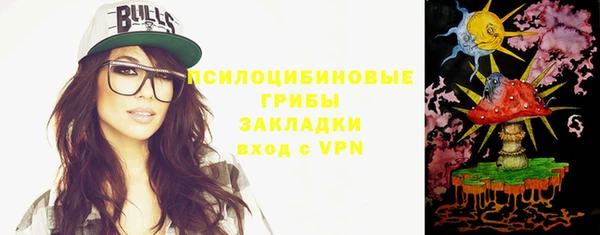 apvp Бородино