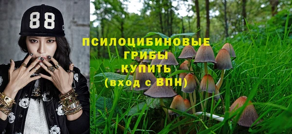apvp Бородино