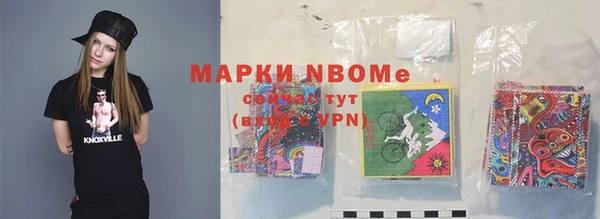 apvp Бородино