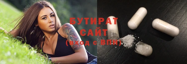 apvp Бородино