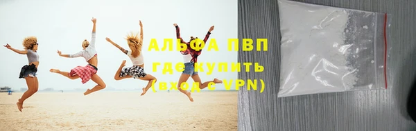 индика Бугульма