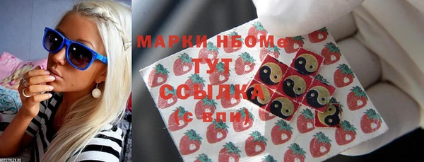 индика Бугульма