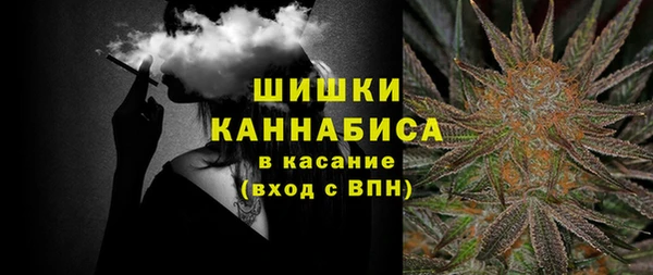 индика Бугульма