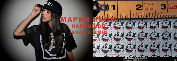 apvp Бородино