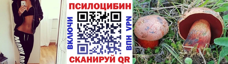 Купить закладки  Горно-Алтайск  Псилоцибиновые грибы Psilocybe 